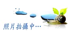 桃園蘆竹南崁房屋資訊-房屋