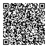 大橘新加坡388快速道路2年新3房平車新加坡式公寓-QR CODE