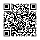 安平-QR CODE