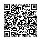 -QR CODE