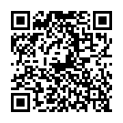 永康兵仔市-QR CODE