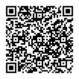 鹽水全新孝親美車墅誠好議-QR CODE