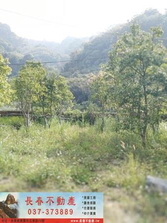 苗栗廠辦_廠房-8