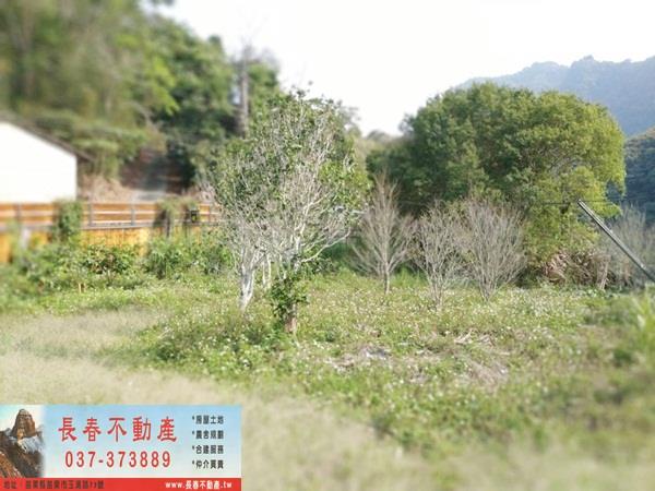 苗栗廠辦_廠房-9