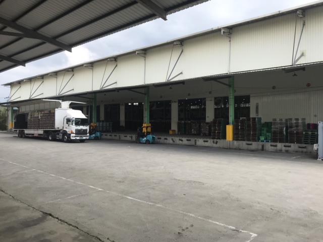 桃園廠房_倉庫-1