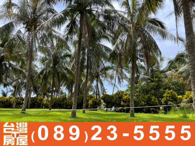 台東透天_農舍-12