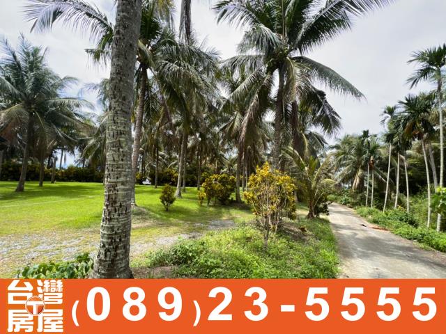 台東透天_農舍-14