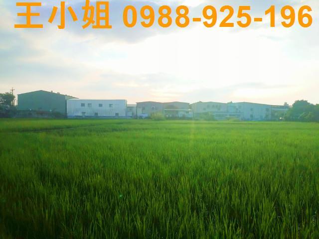 桃園八德農舍-8