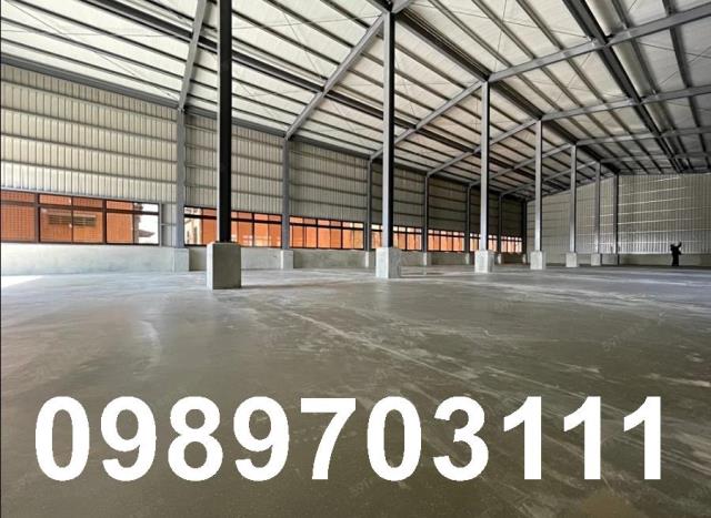 桃園中壢廠房-4