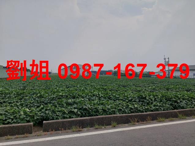 高雄大寮廠房_倉庫-1