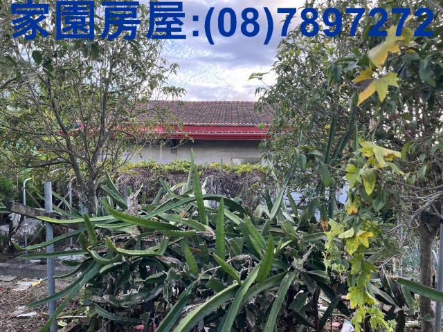 屏東萬丹農舍-3