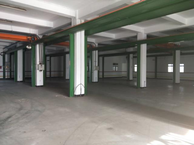 大園廠房_廠辦_倉庫-4