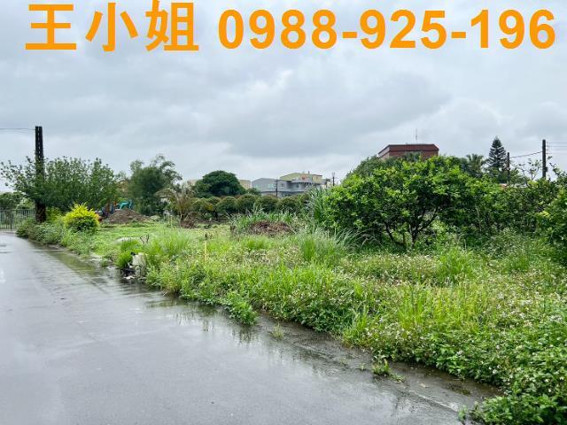 桃園桃園區透天_農舍-13