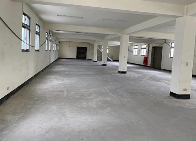 新北新莊廠房_倉庫-2