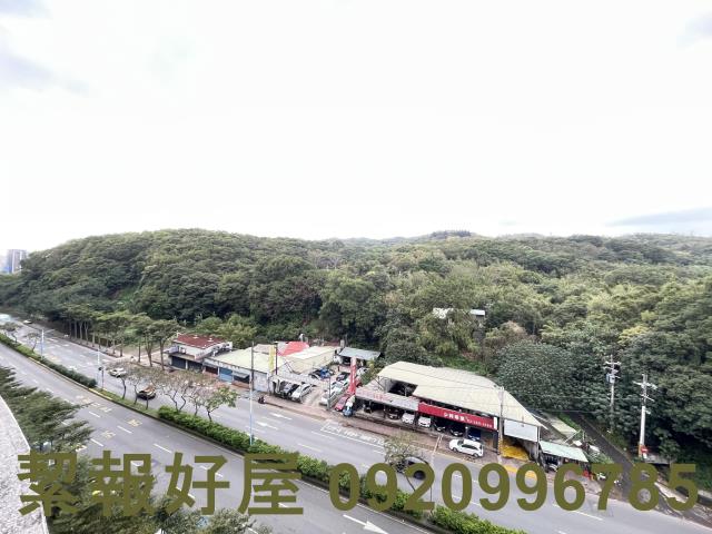 桃園龜山大樓_華廈_公寓-15