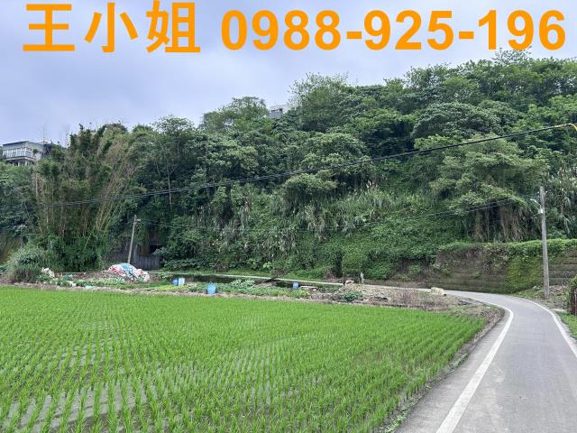 大溪透天_農舍_別墅-15