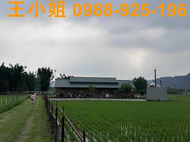 大溪透天_農舍_別墅-4