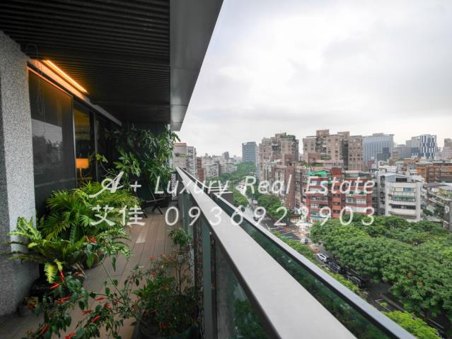 德悅天映月