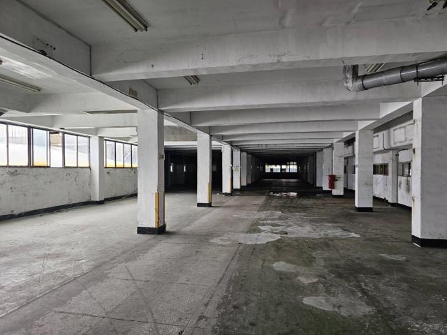 桃園蘆竹廠房_廠辦_倉庫-2