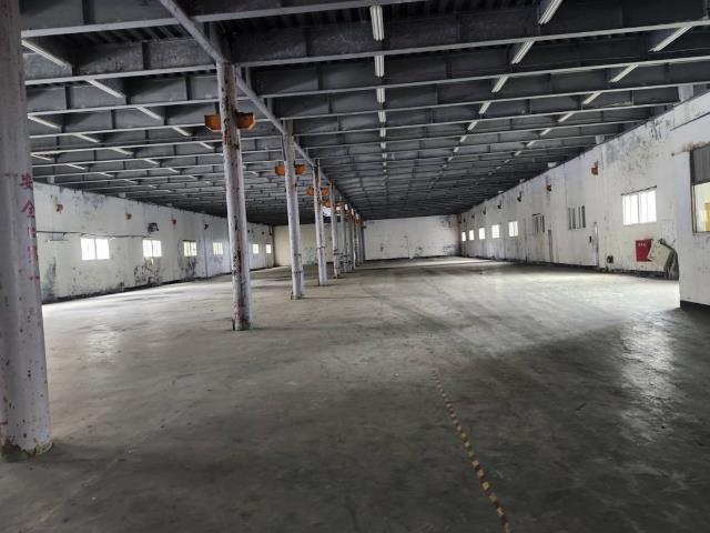 桃園蘆竹廠房_廠辦_倉庫-4