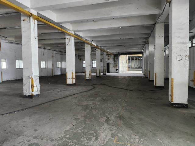 桃園蘆竹廠房_廠辦_倉庫-5