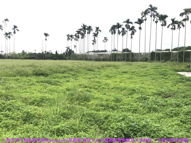 台中透天_別墅-1