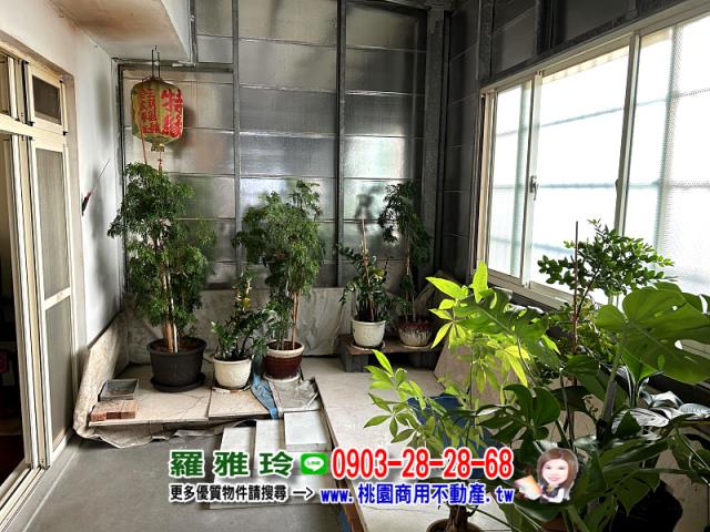 桃園大溪透天_店面-4