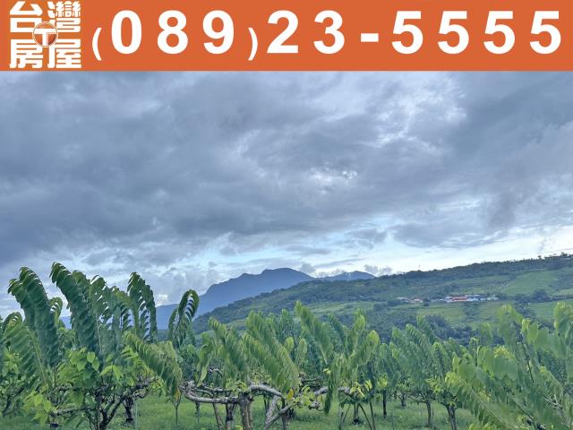 鑽石台東房屋仲介