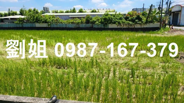 高雄廠房_倉庫-1