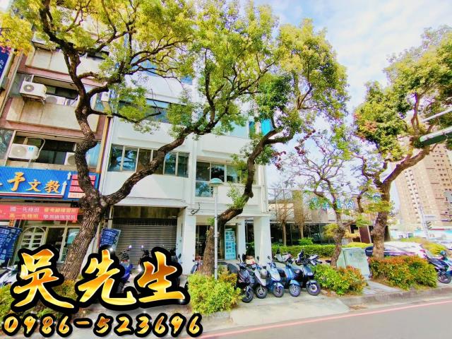 台中拍賣透天_別墅_店面-6