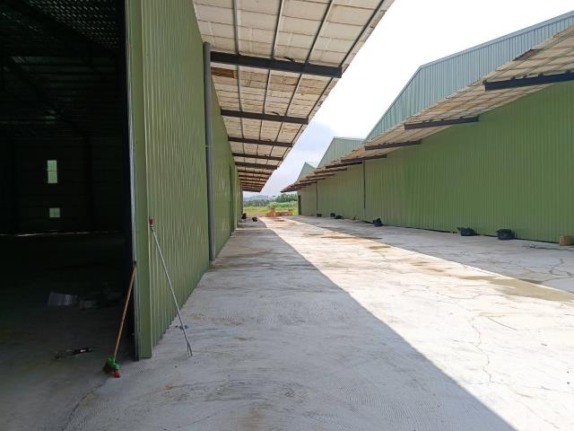 桃園楊梅廠房-3