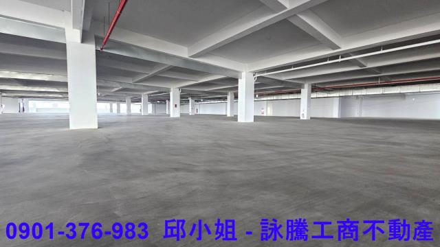 桃園新屋廠房_倉庫-1