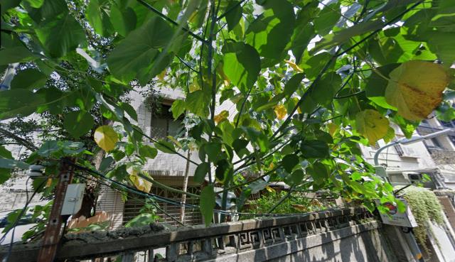 台北中正區法拍公寓_一樓-4