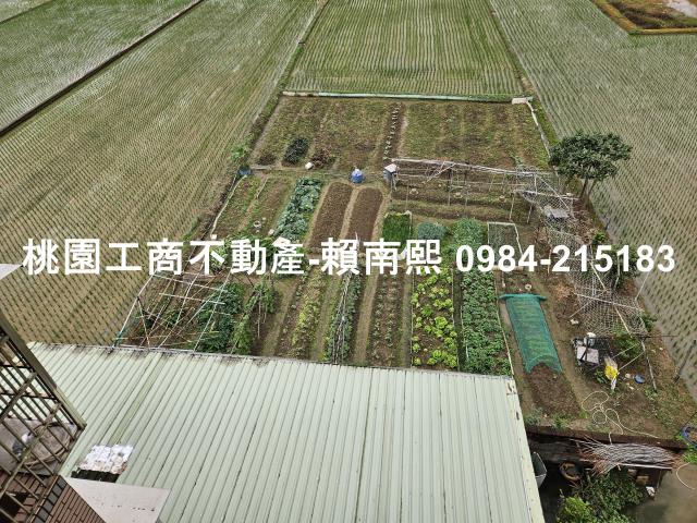 蘆竹農舍_G13區段徵收-12