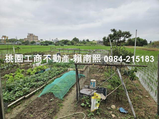 蘆竹農舍_G13區段徵收-15