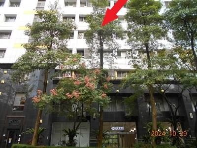 台北信義區大樓法拍-1