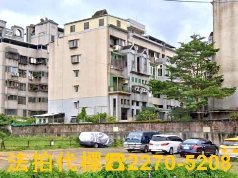 新北林口法拍別墅-1