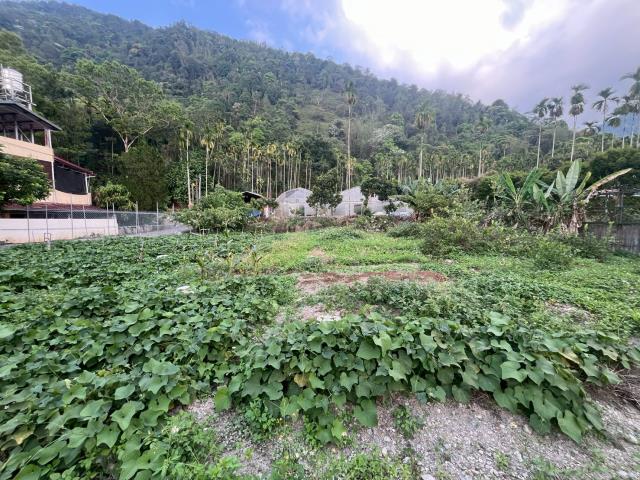 埔里透天_農舍_一樓-12