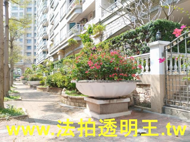 新北三重法拍大樓-9