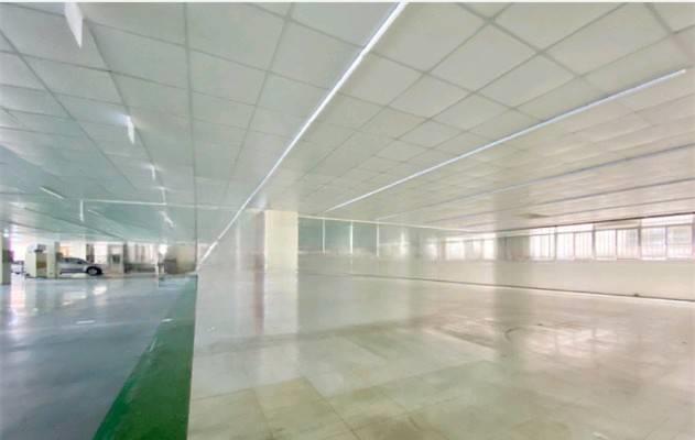 新莊廠房_廠辦_倉庫-2
