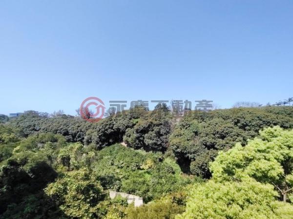 新竹香山透天_別墅-13