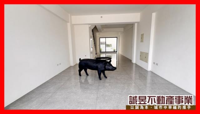 台南南區透天-6