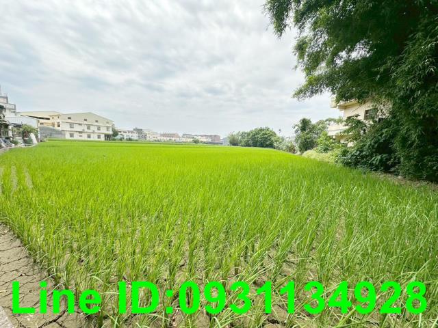 后里透天_店面-11