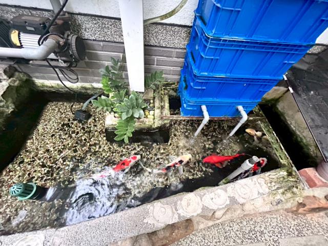 楊梅透天_別墅-9