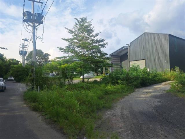 燕巢廠房-3