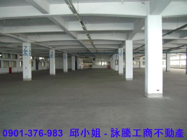 桃園大園廠房_倉庫-2