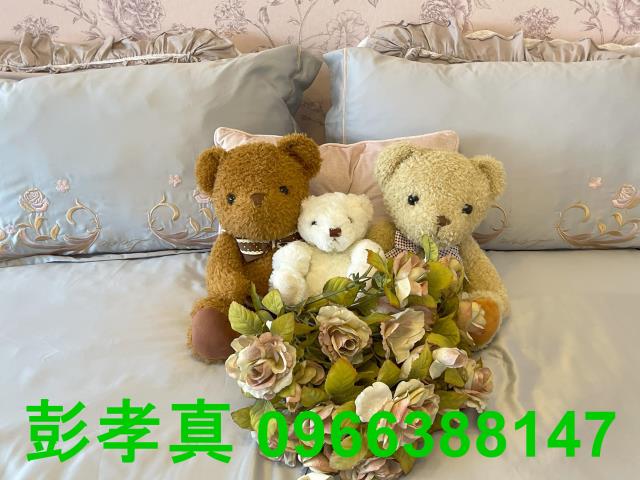台中北區大樓_華廈-11