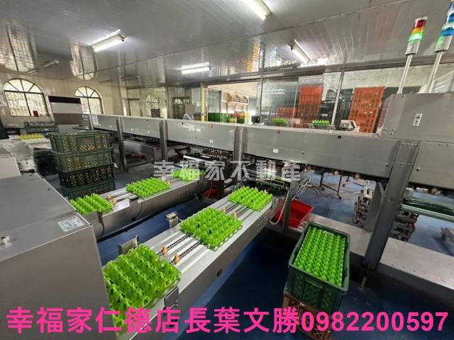 鹽水畜牧場-13