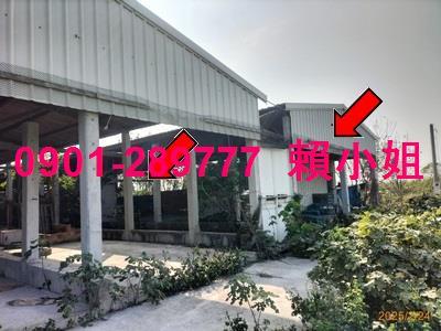 彰化竹塘法拍畜牧設備-1