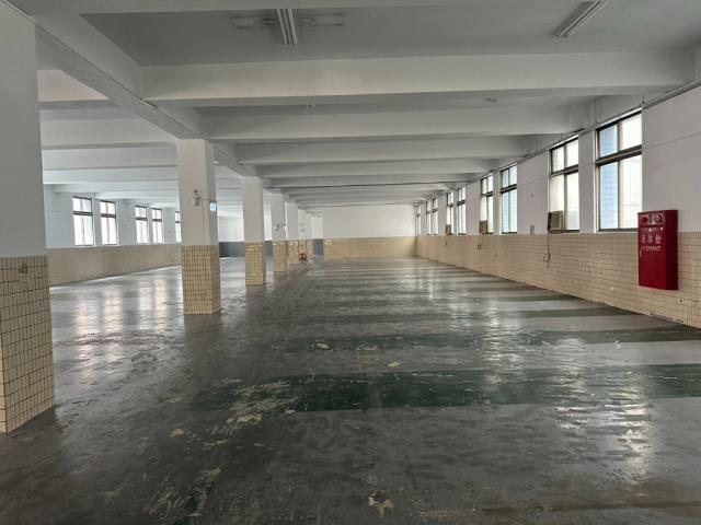 桃園龜山廠房_廠辦_倉庫-2